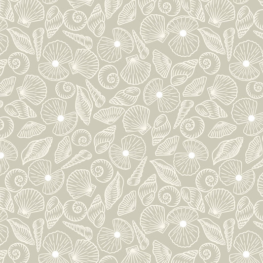 Lewis & Irene Ocean Pearls Collection - Pearl Shells On Powdered Sand With Pearl